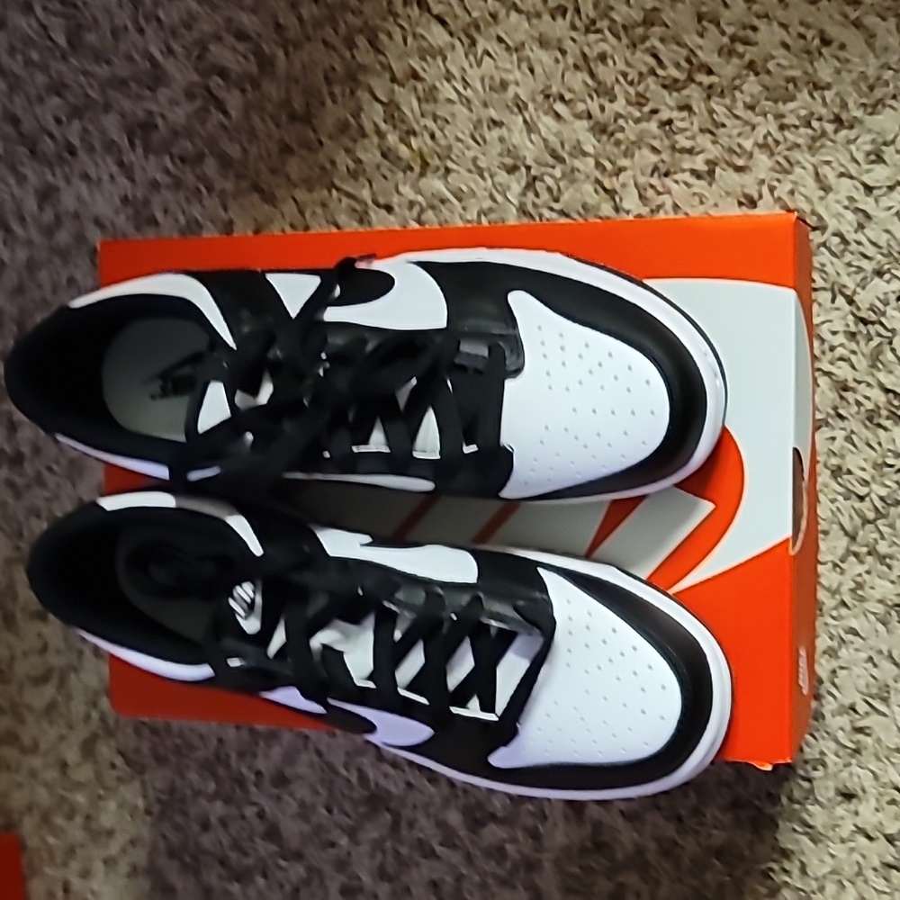 NIKE DUNKS